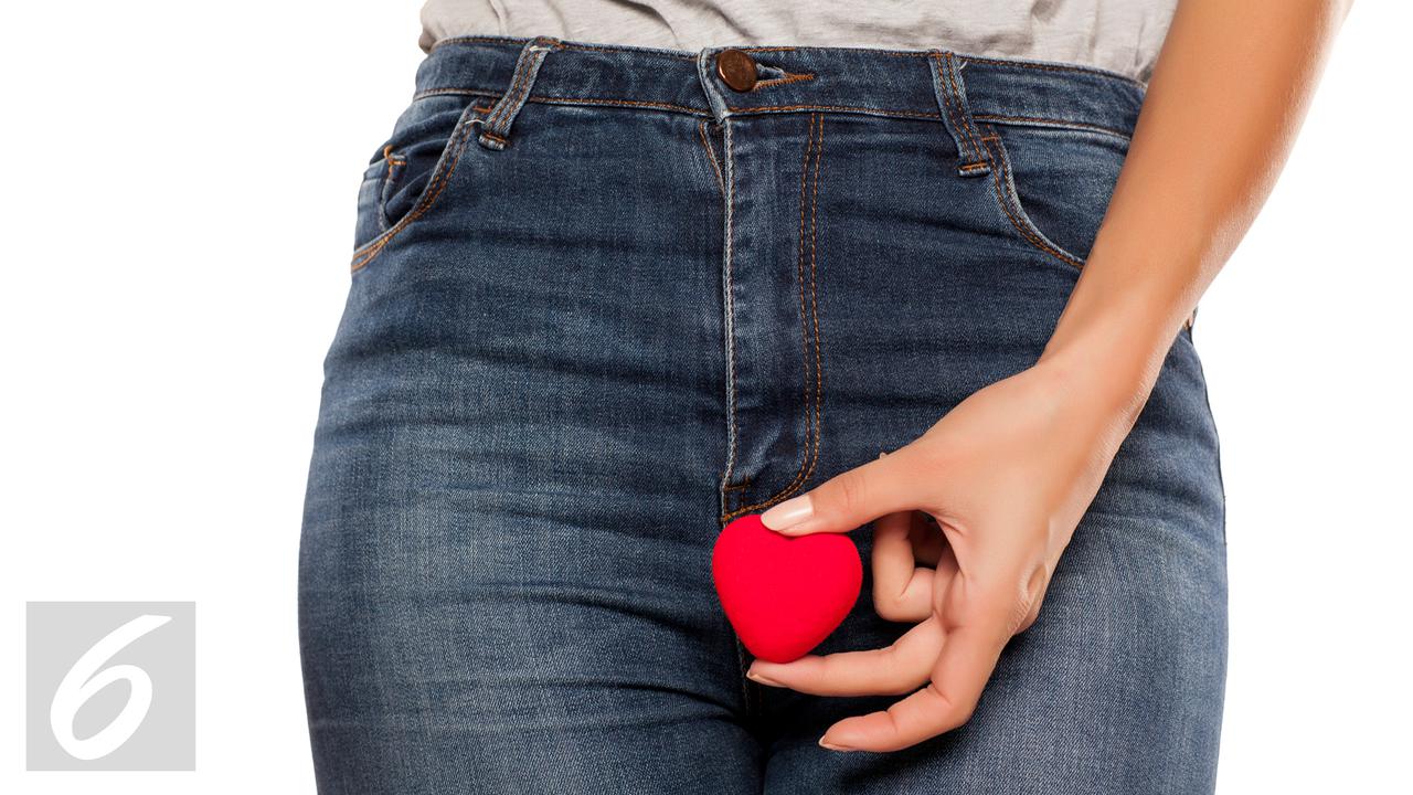 Vagina Alat Kelamin Perempuan