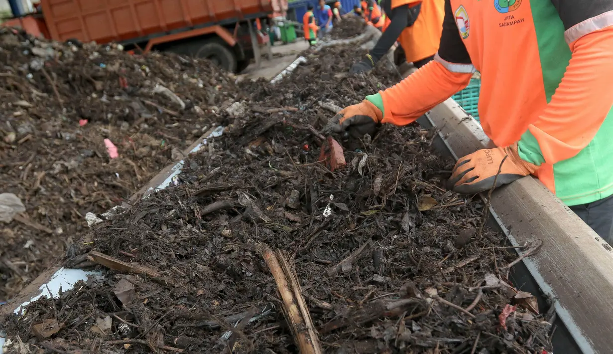 Bambu dan kayu sisa-sisa atribut kampanye yang tak lagi terpakai ini akan diolah menjadi pupuk kompos. (Liputan6.com/Herman Zakharia)