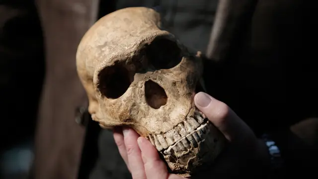 20170512- Manusia Purba- Homo Naledi Hominin-AFP