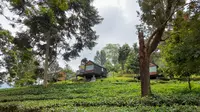 Bobocabin Gunung Mas Puncak Bogor Tetap Beroperasi Meski Dipasangi Plang Pengawasan KLH