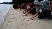 Sejumlah wisatawan tengah melepaskan penyu sisik ke laut lepas di Tanjung Keluang, Kotawaringin Barat, Kalteng. (Liputan6.com/Rajana K)