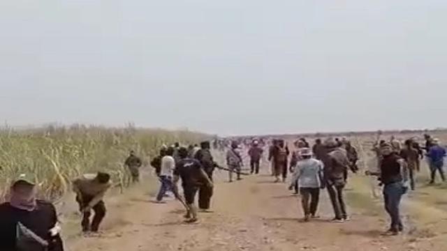 Polisi Tangkap Pelaku Bentrok Berdarah di Lahan Tebu, Salah Satunya Anggota DPRD Indramayu