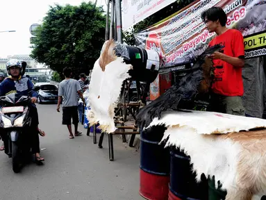 Penjual bedug merapikan dagangannya di Jalan KH Mas Mansyur, Tanah Abang, Jakarta, Minggu (6/7/14). (Liputan6.com/Faizal Fanani)