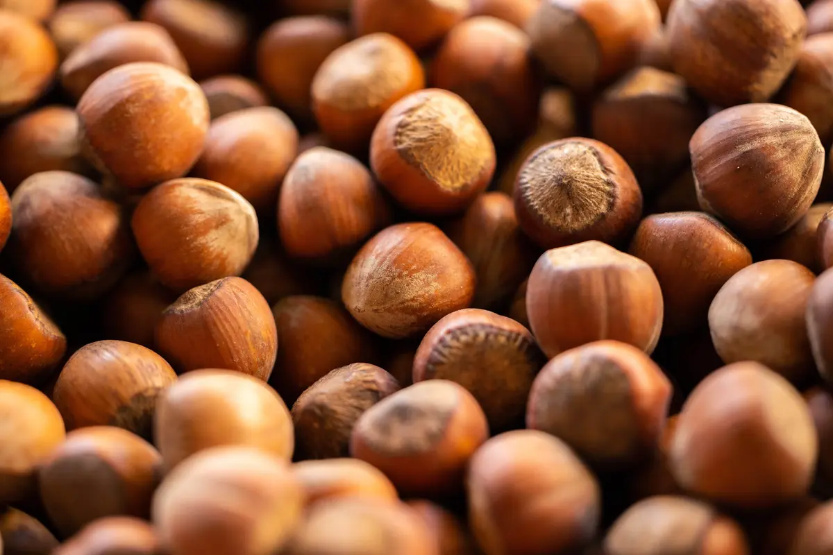 Kandungan hazelnut
