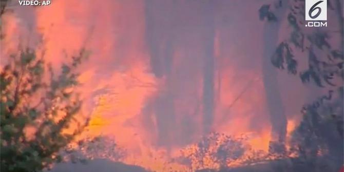 Kebakaran Hutan di Portugal, Beberapa Desa Terancam