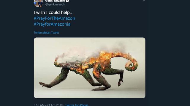 Pray For Amazon, Doa Warganet untuk Kebakaran Amazon