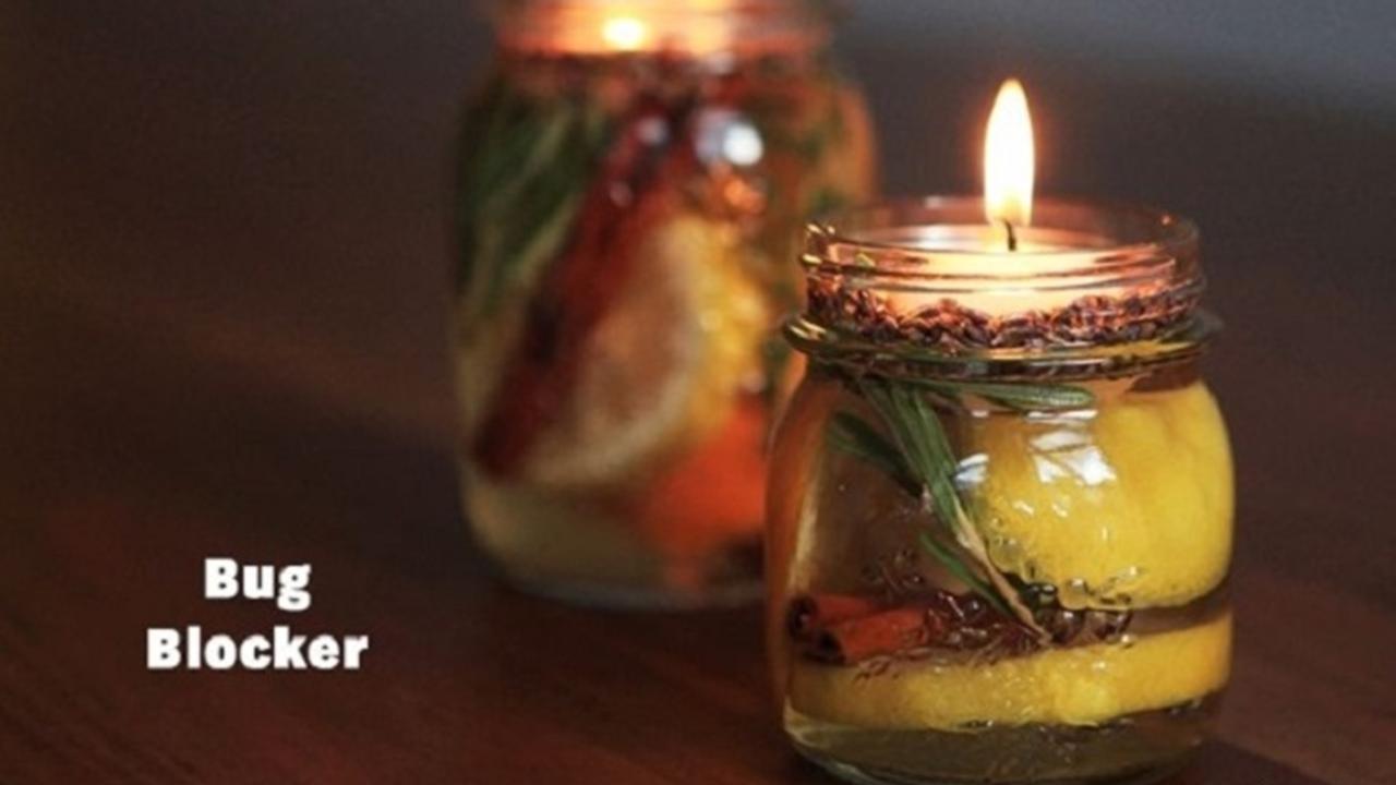 DIY pengusir nyamuk di rumah