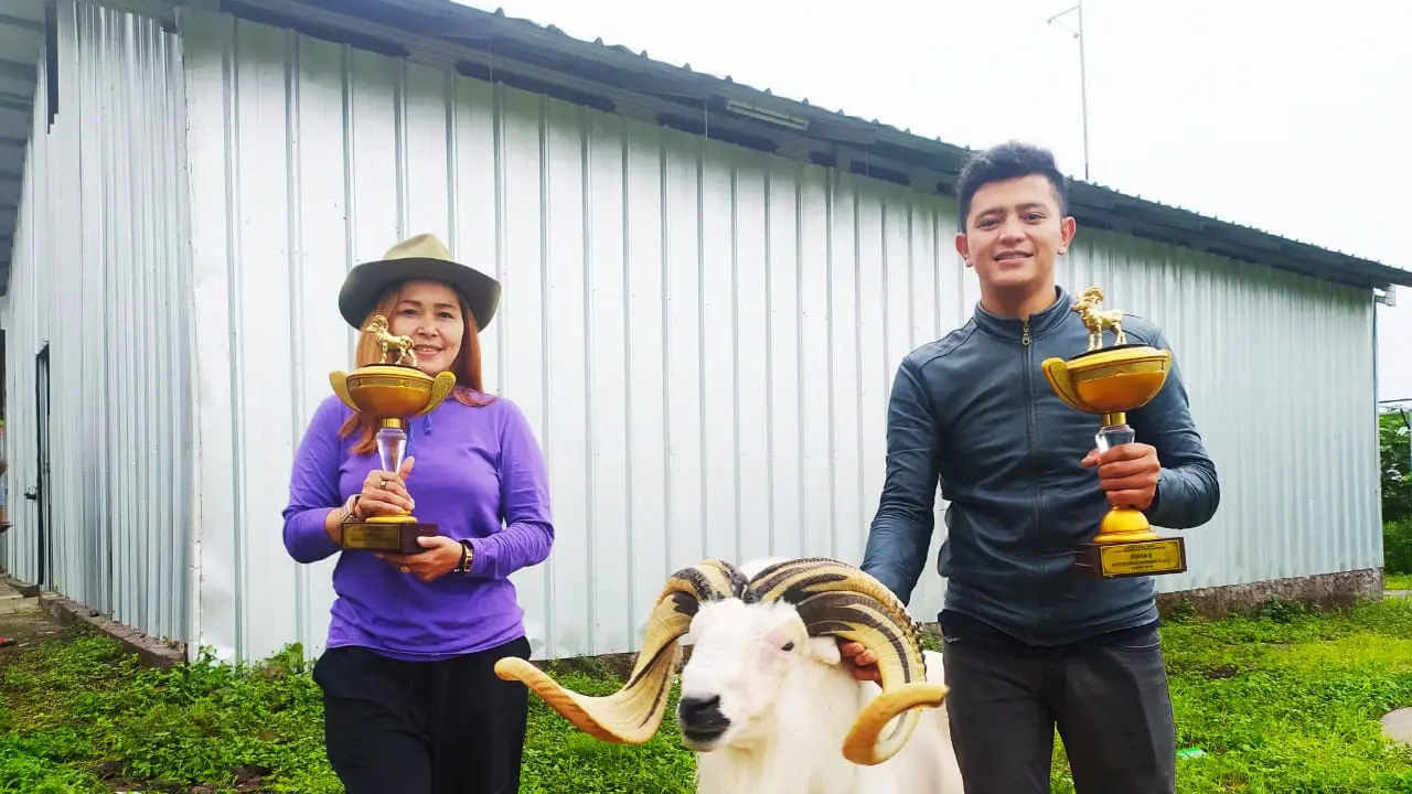Ernawati bersama Regiana, memegang dua piala kebanggaan lomba tangkas domba Garut tingkat nasional 2020 yang berhasil mereka raih.