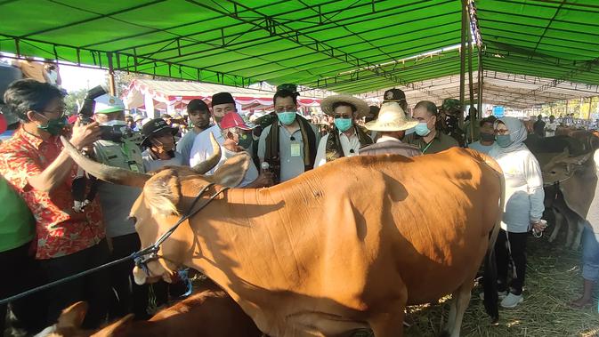 Mentan Syahrul Yasin Limpo bersama Gubernur NTB Zulkieflimansyah, meninjau sapi di anak sapi (Pedet).Liputan6.com/Hans Bahanan.