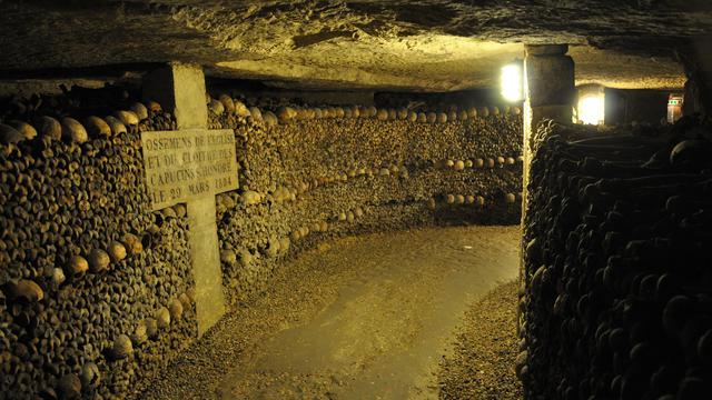 Paris Catacomb