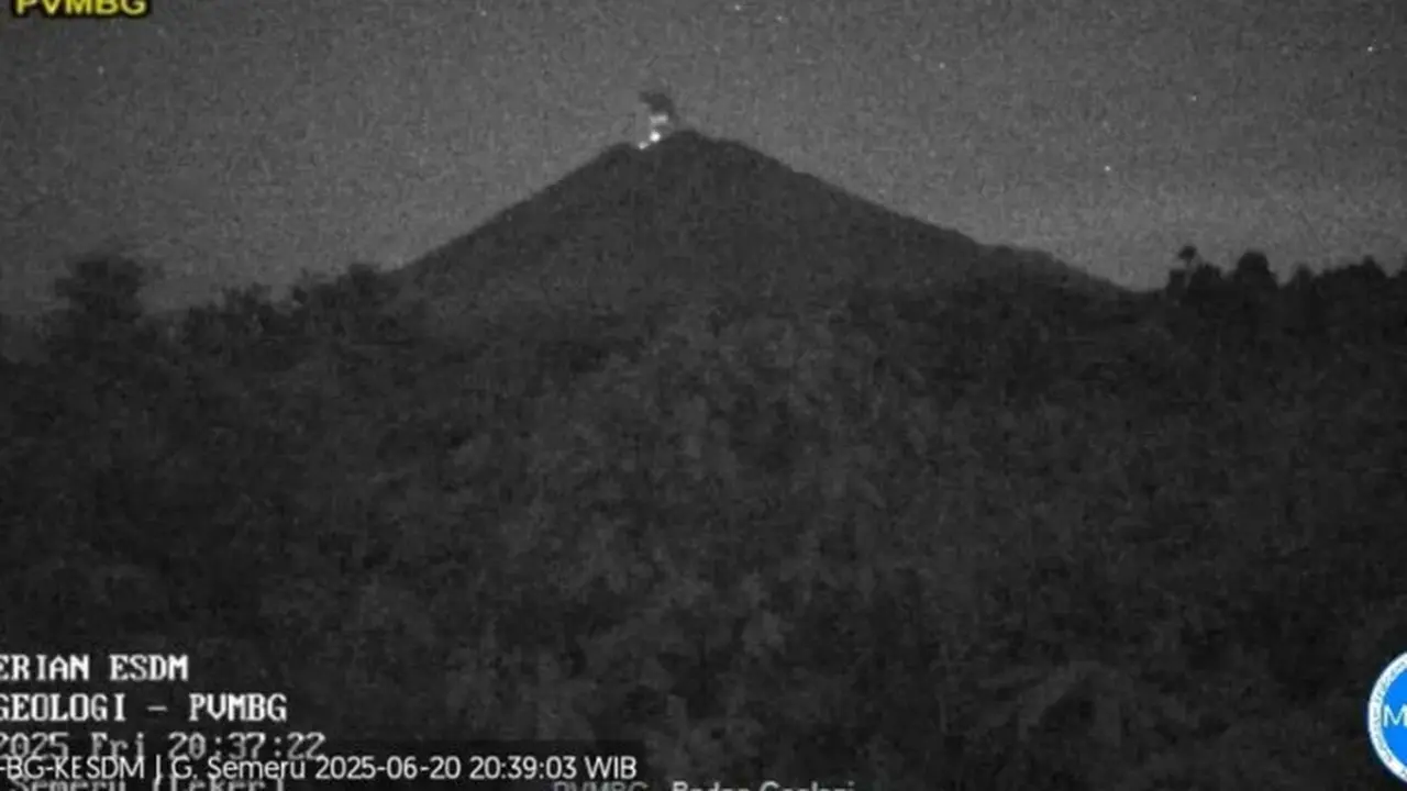Gunung Semeru erupsi, tinggi letusan capai 700 meter (Istimewa)