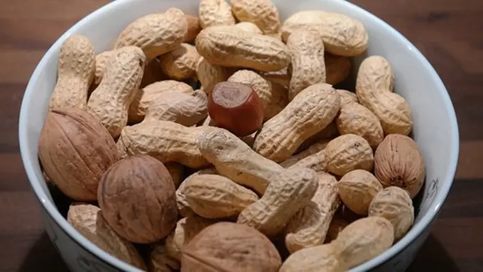 Manfaat makan kacang/copyright Pixabay.com/Hans