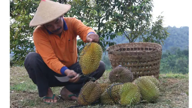 Embung Banjaroya