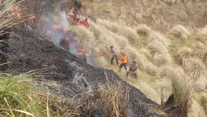 3 Petugas Gugur Terjebak Kobaran Api di Bromo