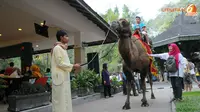 Unta Berpunuk Dua &amp; Komodo Dragon Island  Bikin Beda Taman Safari