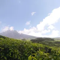 Gunung Dempo Pagar Alam Sumsel (Liputan6.com / Nefri Inge)