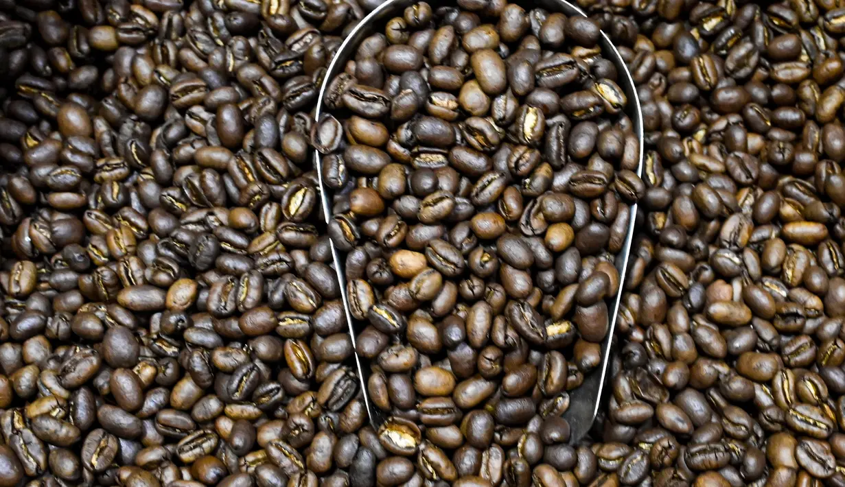 Amerika Serikat menjadi pasar utama kopi Indonesia, mengalahkan negara-negara lain seperti Mesir dan Malaysia. (CHAIDEER MAHYUDDIN/AFP)