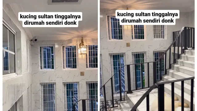 Rumah Kucing Sultan