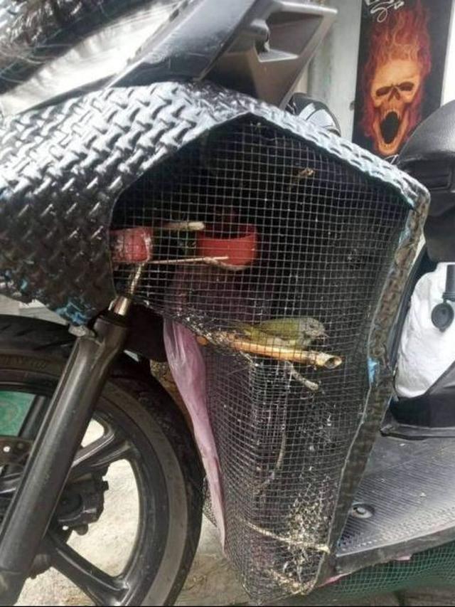 7 Potret Kandang Low Budget Ini Bikin Ngakak