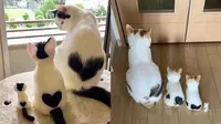 6 Potret Ibu Kucing dan Anaknya Punya Corak Tubuh Sama, Unik Banget (Twitter/shouldhavecat/cattalestweet)