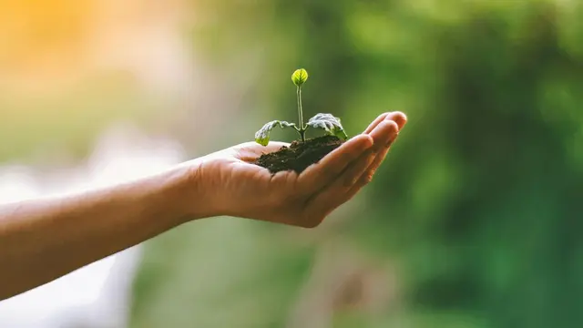 Earth Day