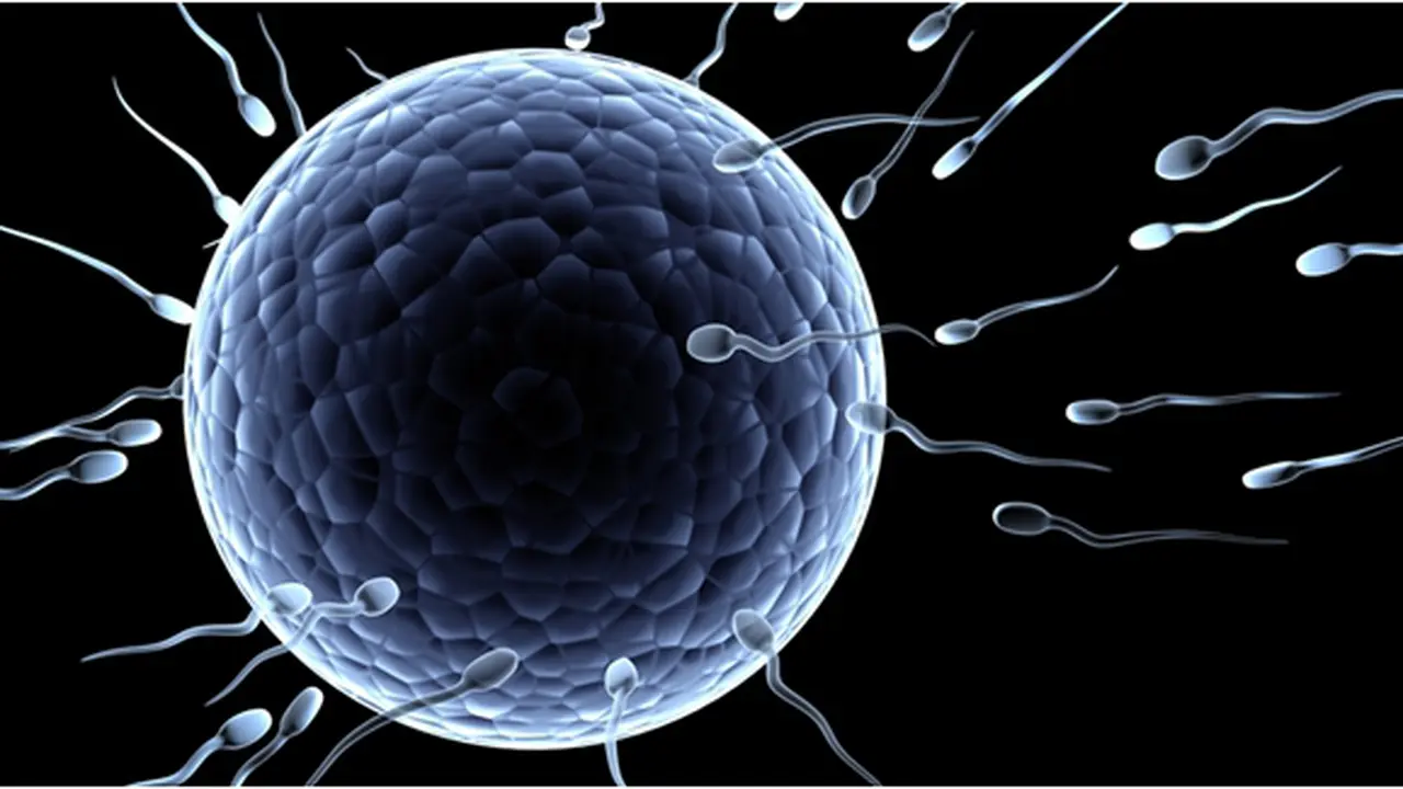 Courtesy ShutterStock.com
