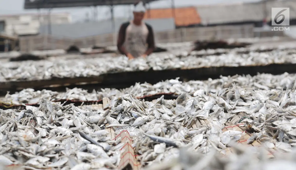 Ikan asin saat dijemur di Muara Angke, Jakarta, Rabu  (13/9). Produksi ikan asin yang merupakan salah satu usaha rumah tangga nelayan di daerah tersebut mengalami peningkatan hingga 50 persen saat musim kemarau. (Liputan6.com/Angga Yuniar)