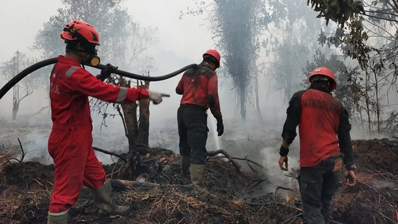 Petugas Manggala Agni berusaha memadamkan kebakaran lahan yang dekati rumah warga di Kabupaten Kampar.