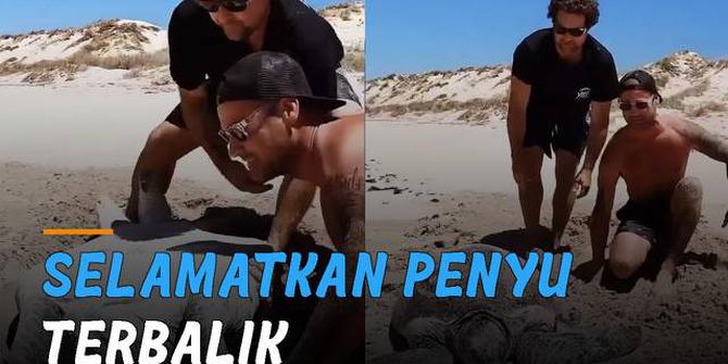 VIDEO: Melihat Penyu Terbalik di Pinggir Laut, Pria Selamatkan dan Melepaskannya Kembali ke Laut
