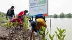 BRI Peduli sebagai bagian dari Program Tanggung Jawab Sosial dan Lingkungan (TJSL) BRI, kembali menunjukkan komitmennya terhadap pelestarian lingkungan di momen Hari Mangrove Sedunia 2025.&nbsp;