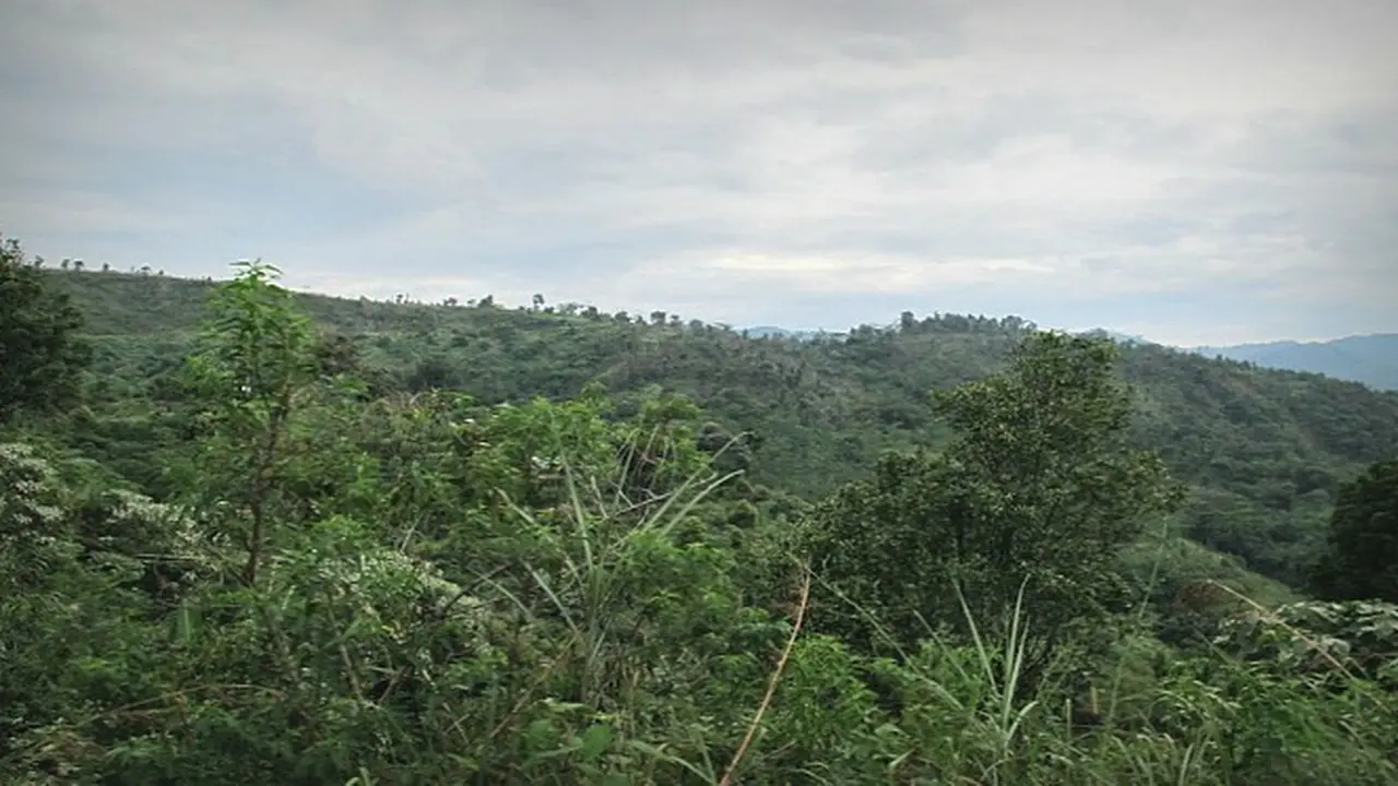 Gunung Cantayan