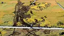 Karya seni bergambar seorang putri tradisional Tiongkok yang terbuat dari varietas padi terlihat di persawahan saat musim panen di Shenyang, China (20/9). Karya seni ini bertujuan mempromosikan pariwisata di daerah tersebut. (AFP Photo/Str/China Out)