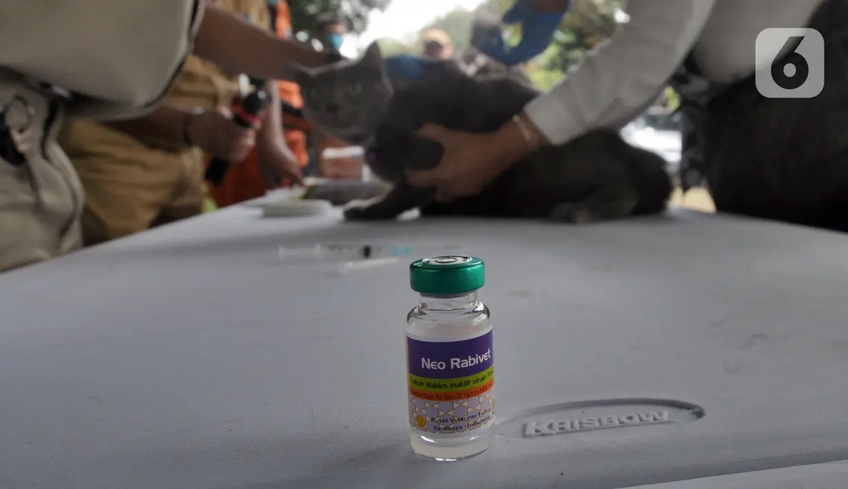 Vaksin antirabies dari  Suku Dinas Ketahanan Pangan Kelautan dan Pertanian Jakarta Selatan untuk disuntikkan kepada hewan peliharaan di Perumahan Bumi Karang Tengah, Jakarta Selatan, Selasa (21/9/2021). Kegiatan ini menargetkan Provinsi DKI Jakarta bebas rabies. (merdeka.com/Arie Basuki)