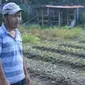 Fredy Liuw, salah seorang petani bunga lokal Tomohon. (Liputan6.com/Yoseph Ikanubun)