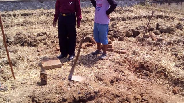 Batu bata berukuran raksasa ditemukan di Kalikudi Kecamatan Adipala. Ada dugaan batu bata ini diproduksi untuk membangun kota lama Cilacap, termasuk benteng pendem. (Liputan6.com/Kunthang Sunardi untuk Muhamad Ridlo)