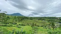 Lulu Tobing memamerkan salah satu sudut keindahan Jatiluwih yang berada di Bali (Dok.Instagram/@lutob/https://www.instagram.com/p/B7FWg8mAnpRKAjDexnCezv-N-MViIHwygqnoFU0/Komarudin)