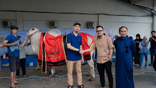 Selebgram sekaligus pengusaha Juragan 99 menyambut Idul Adha 2023 dengan menyumbang total 97 hewan kurban yang terdiri 61 sapi dan 36 kambing. (Foto: Tim J99 Corp)