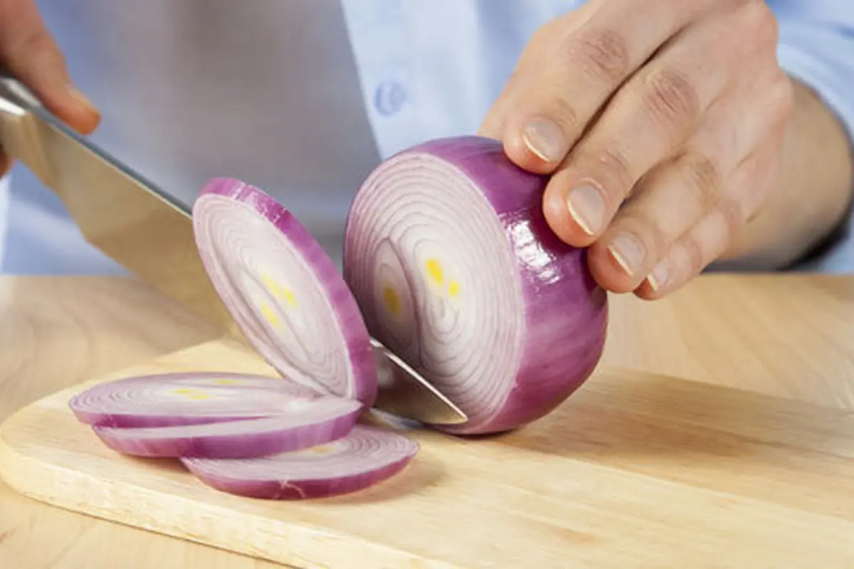 copyright by shutterstock.com