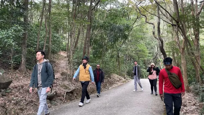 Menemukan Kedamaian dalam Forest Bathing di Tai Mo Shan Country Park, Hong Kong