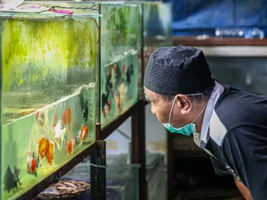Warga melihat koleksi ikan hias yang dijual pedagang di Sentra Ikan Hias di Jalan Sumenep, Menteng, Jakarta, Sabtu (18/7/2020). Sentra ikan tersebut biasanya ramai dikunjungi warga setiap akhir pekan. (Liputan6.com/Faizal Fanani)