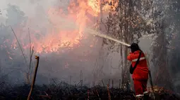 Hingga Minggu (20/7/2025) siang, kobaran api semakin besar dan cepat meluas ke arah perkebunan kelapa sawit dan nanas yang ada di sekitar lokasi. (Wahyudi/AFP)