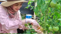 Melody Laksani eks JKT48 jadi petani milenial. (dok. Instagram @melodylaksani92/instagram.com/melodylaksani92/p/Ca1zYhfJCac/)