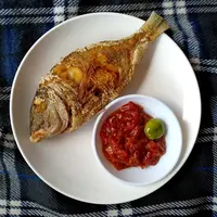 Ilustrasi/copyrightshutterstock/PurMoon