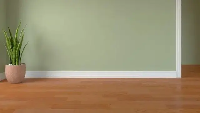 Cat Tembok Hijau Cocok dengan Warna Apa? Berikut 9 Rekomendasi Perpaduannya