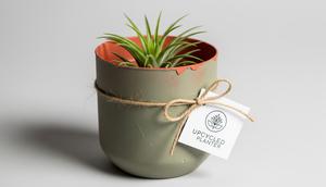 Cara Membuat Pot Tanaman dari Thinwall Bekas/ AI