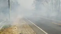 Waspada El Nino dan Puntung Rokok, Ini Daerah-Daerah Rawan Kebakaran Hutan di Jateng