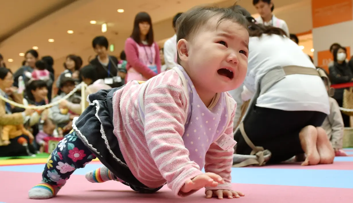 Seorang bayi menangis dan ingin menghampiri ibunya saat kompetisi 'Bayi Merangkak',  Yokohama, Jepang, Senin (23/11/2015). Tingkah bayi yang lucu menjadi pemandangan yang menggemaskan bagi para penonton. (AFP Photo/Kazuhiro Nogi)