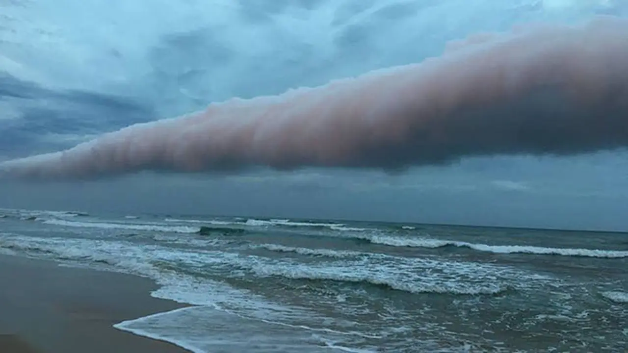 Awan Roll