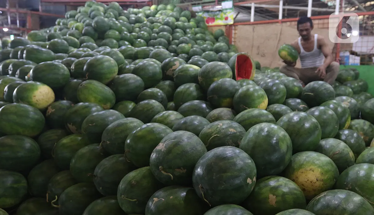 Pedagang memlilih buah semangka di pasar induk Kramat Jati, blok buah di Jakarta, Minggu (2/2/2020). Produksi lokal dinilai perlu digenjot untuk meredam impor buah tropis yang masih berlangsung sampai saat ini. (Liputan6.com/Herman Zakharia)