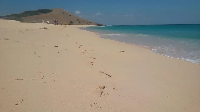 Pariwisata